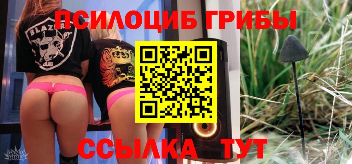 Гусев  Галлюциногенные грибы мухоморы  Вход с VPN 